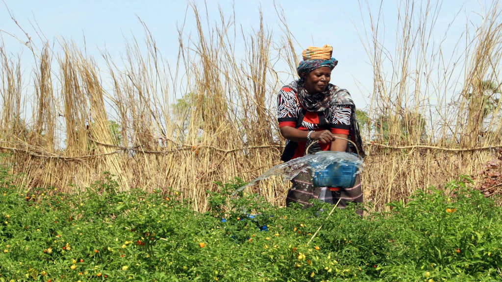 Une bénéficiaire du projet de renforcement de la résilience et de la cohésion sociale au Plateau Dogonarrose arrose son jardin maraîcher familial.